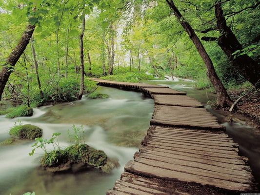 Unleash Your Inner Adventurer: Navigating Nature with Portable Air Conditioner - EnjoyCool